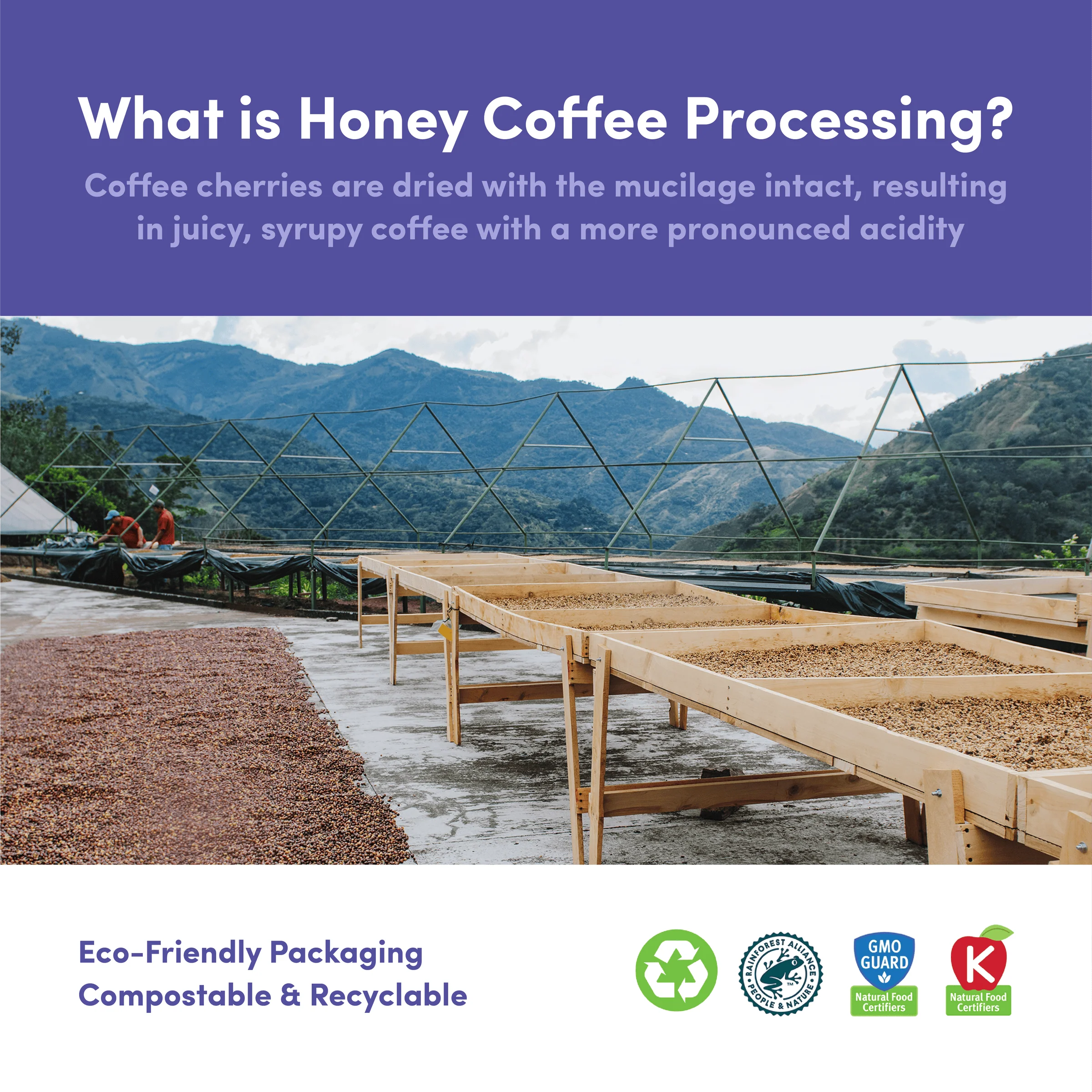 Costa Rica Las Lajas Black Honey - Image 4