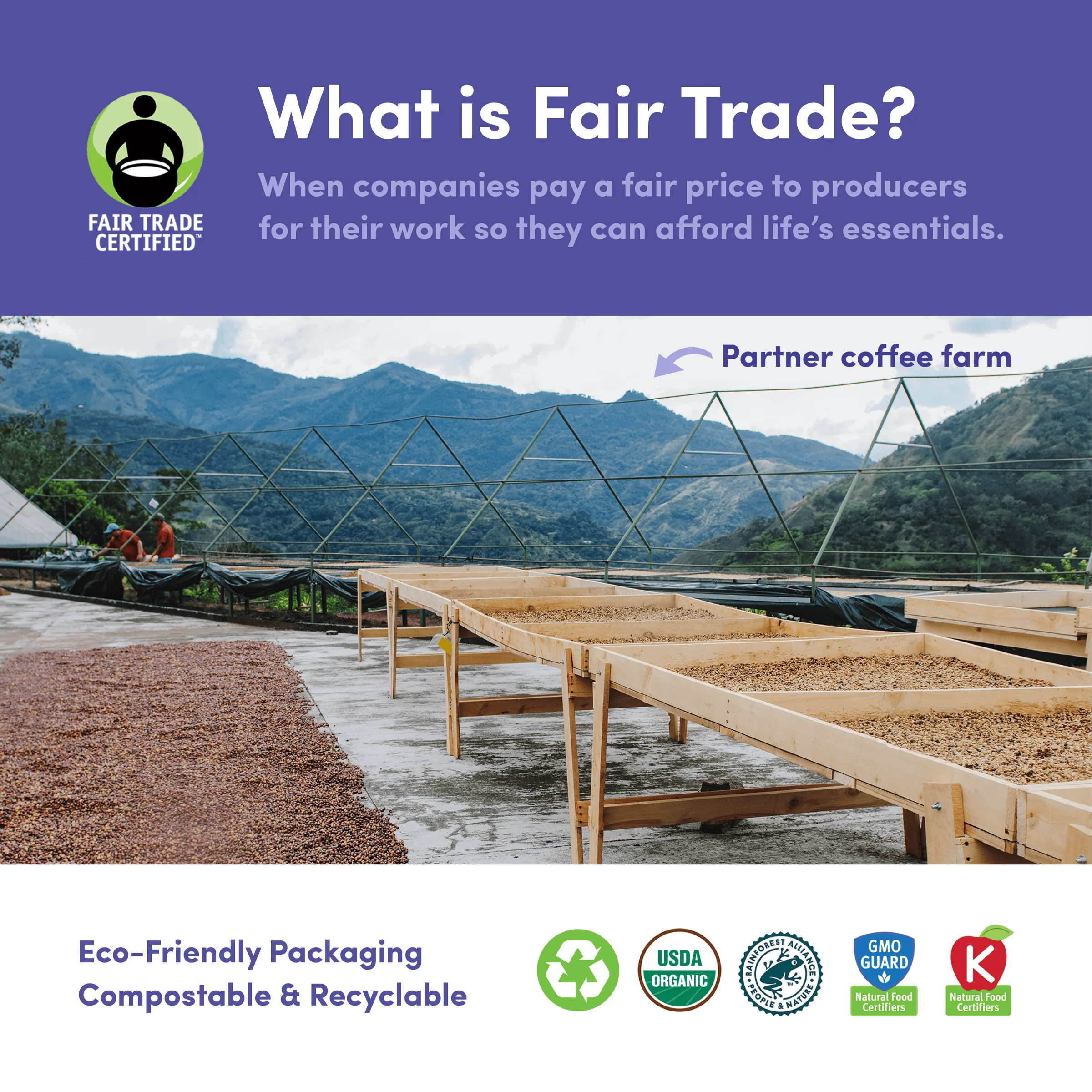 Ethiopia Sidamo, Organic & Fair Trade - Image 4