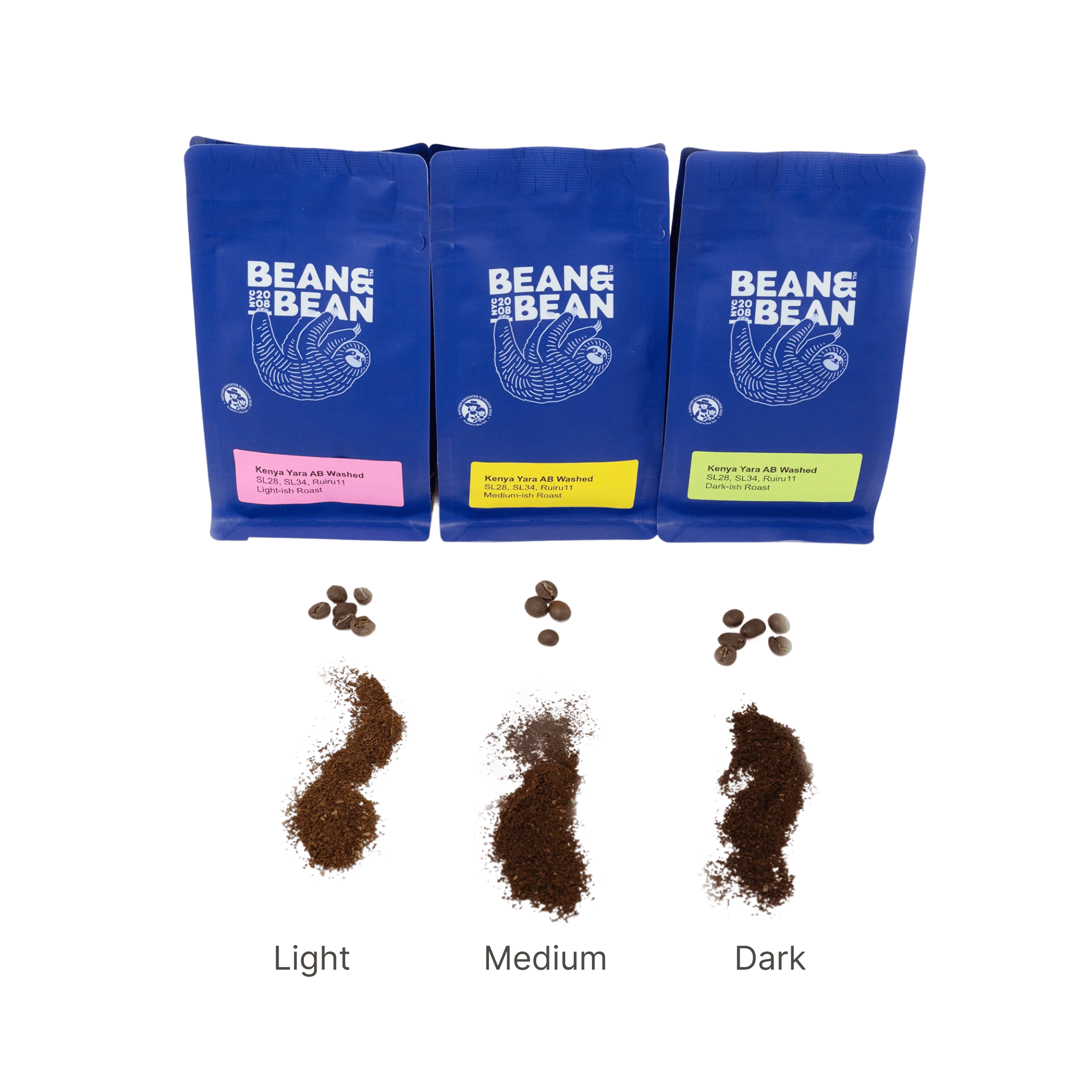 Roast Level Tasting Set - Kenya Yara AB Washed - Image 2