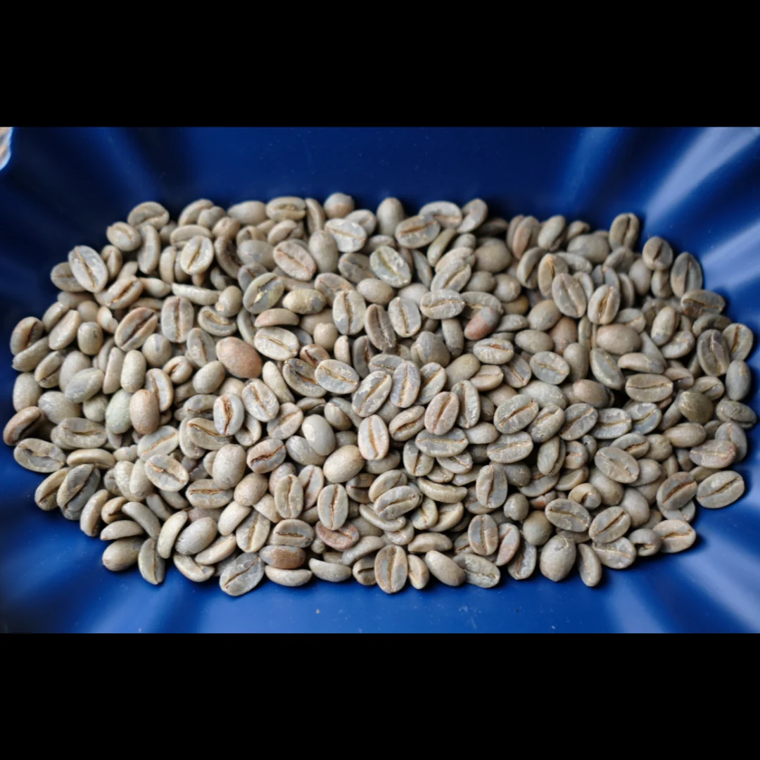 Taiwan Alishan Royal Bean Gesha Washed - Image 3